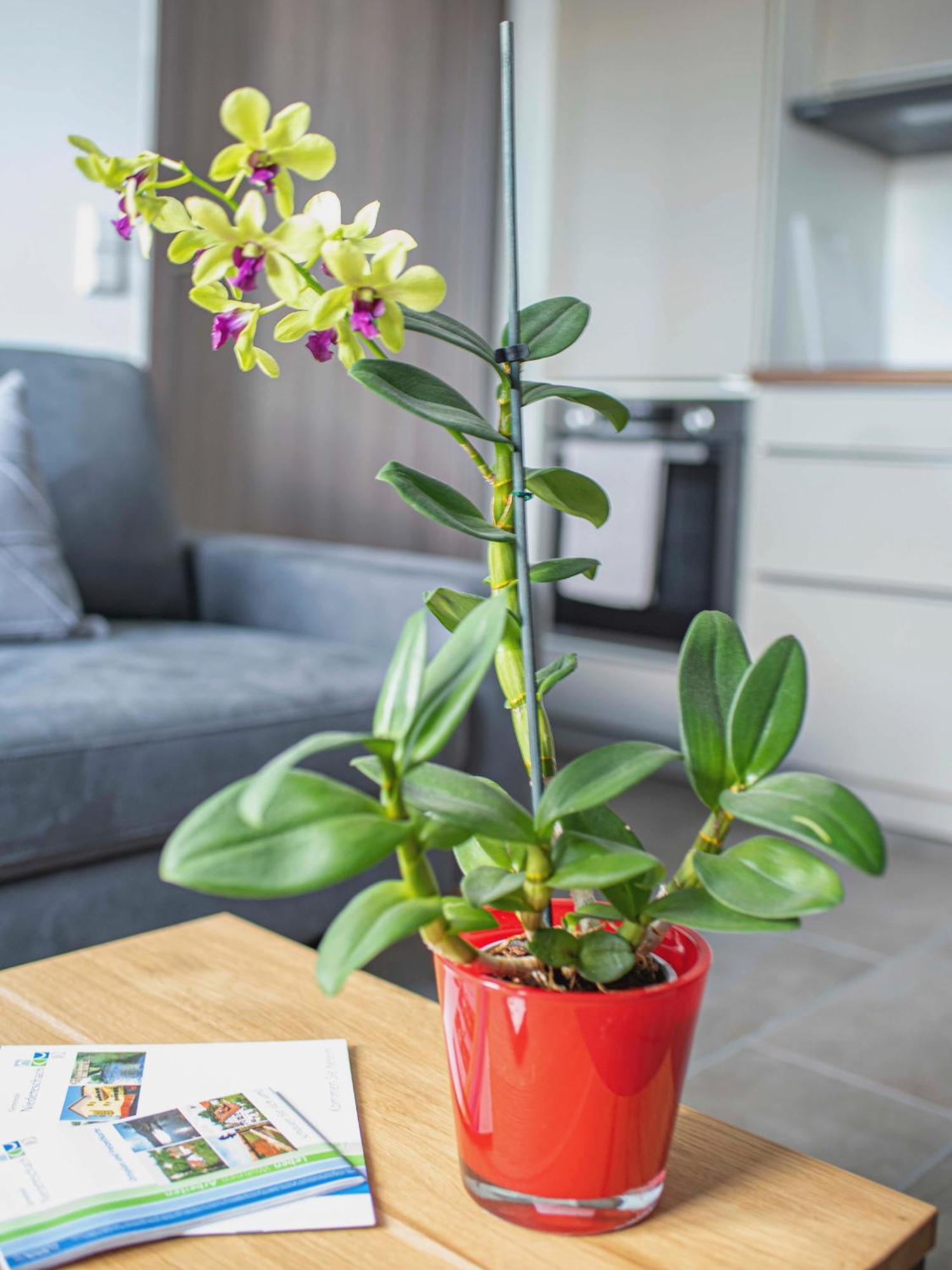 Bantlehof Apartment Niedereschach Ngoại thất bức ảnh